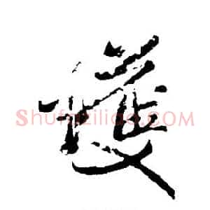 护