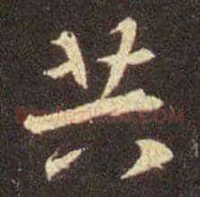 共