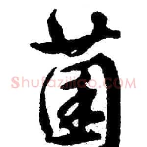 菌