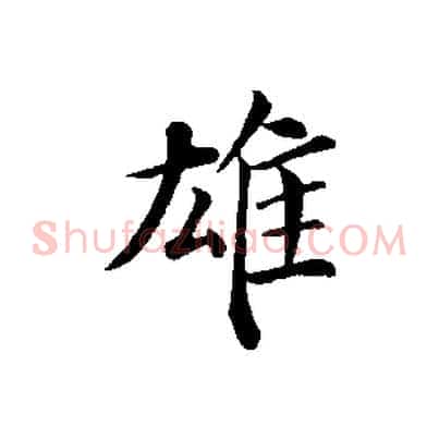雄