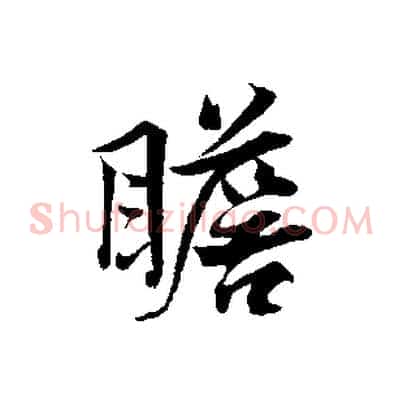 瞻