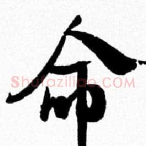 命