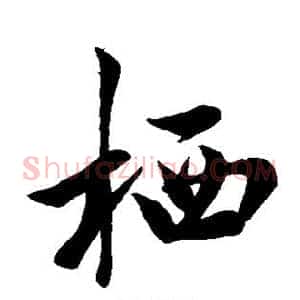 栖