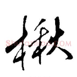 楸
