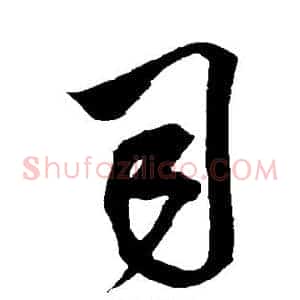 司