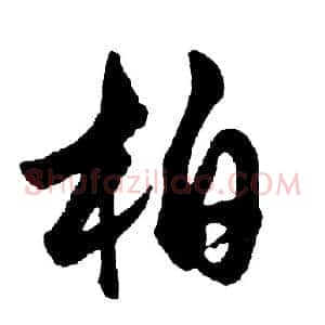 柏