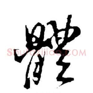 体