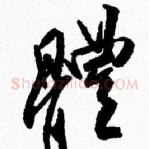 體