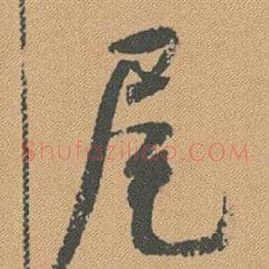 尾