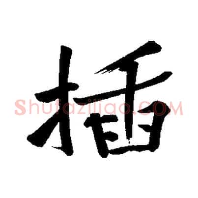 插