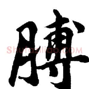 膊