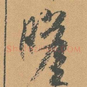 瞻