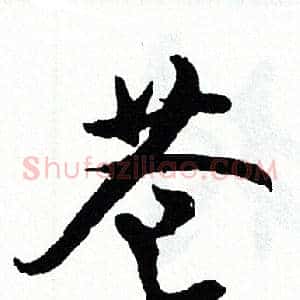 苍