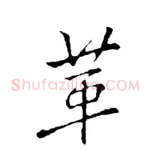 革