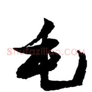 毛