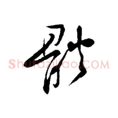 體