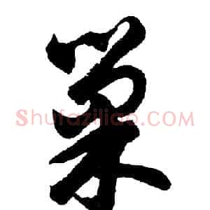 巢