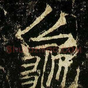 龜