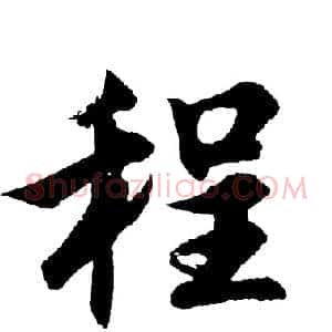 程