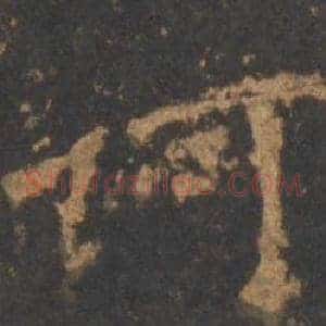诃