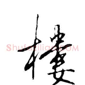 樓