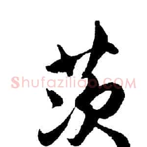 茨