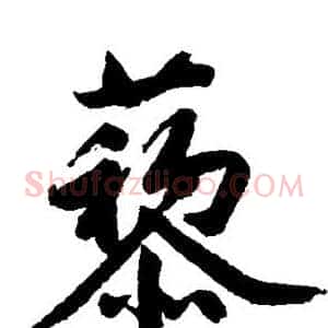 藜