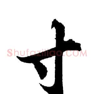 寸