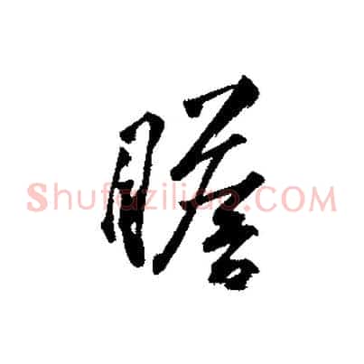 瞻