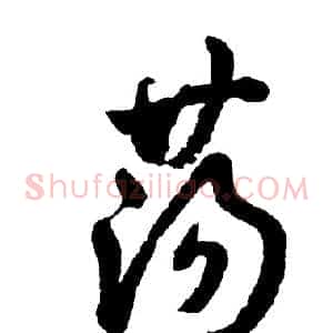 荡