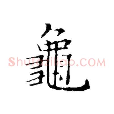 龜