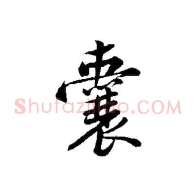 囊