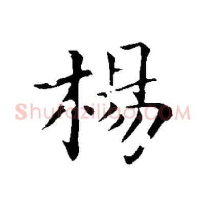 楊