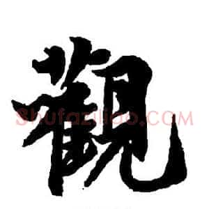 观