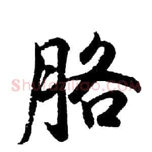 胳