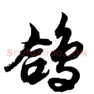 鸽