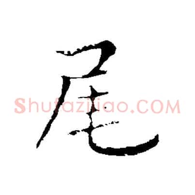 尾