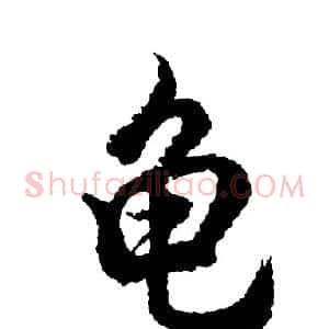 龟