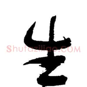 生