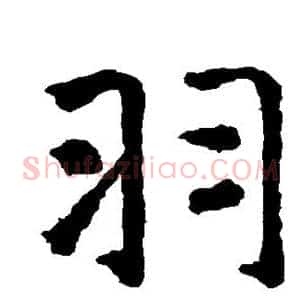 羽