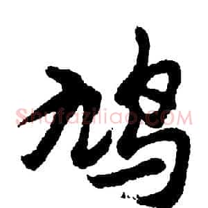 鸠