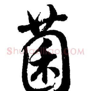 菌