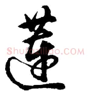 莲