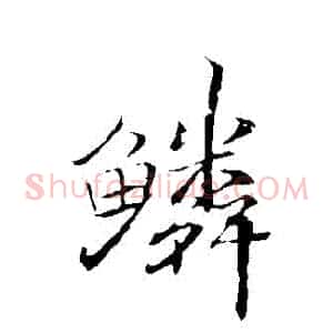 鱗