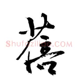 蓓