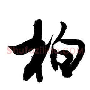柏
