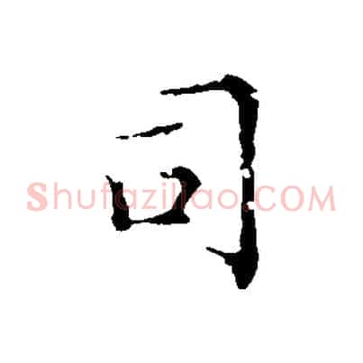 司