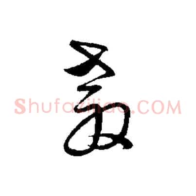 教