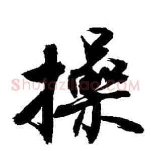 操
