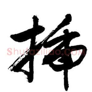 插
